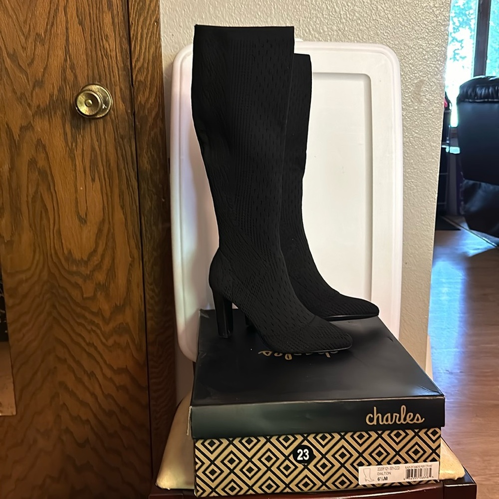 Charles by Charles David Women's Dalton Over-the-Knee Stretch Boots Women's